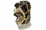 Polished Septarian Spiderweb Sculpture - Awesome Display #77909-4